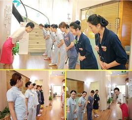 艾青蓮的多元服務之旅 美牙培訓與婚姻介紹的雙重機遇